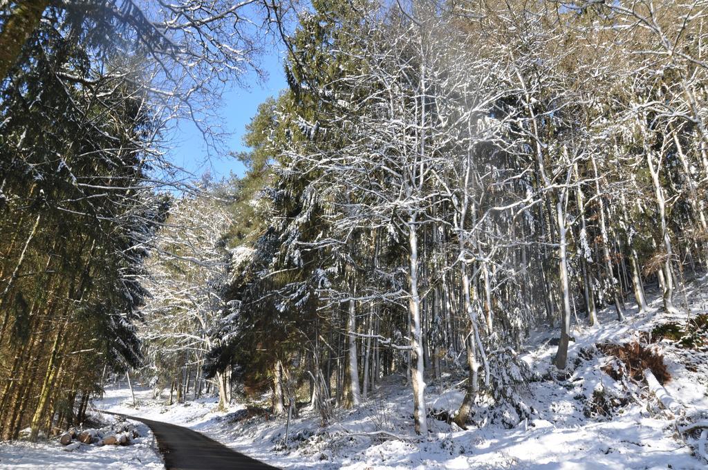 Eifel Landhaus Seeblick Hotel Biersdorf Buitenkant foto