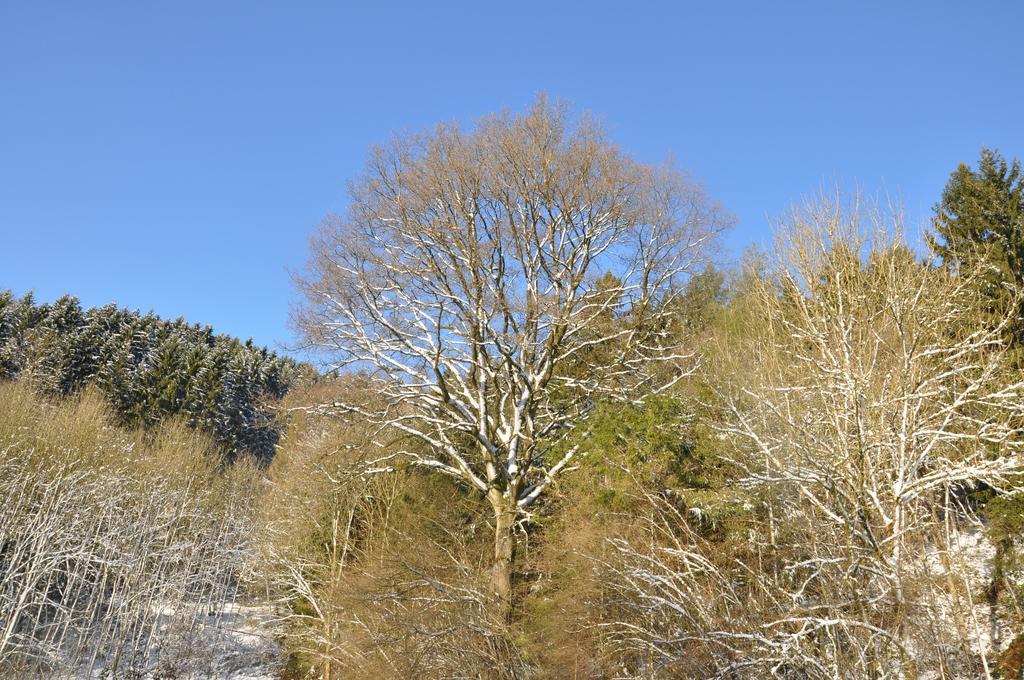 Eifel Landhaus Seeblick Hotel Biersdorf Buitenkant foto