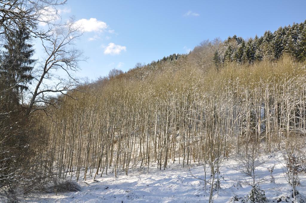 Eifel Landhaus Seeblick Hotel Biersdorf Buitenkant foto