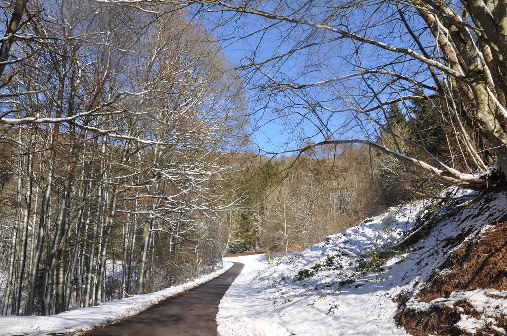 Eifel Landhaus Seeblick Hotel Biersdorf Buitenkant foto