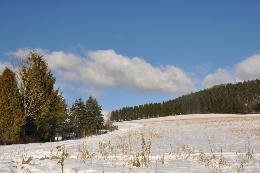 Eifel Landhaus Seeblick Hotel Biersdorf Buitenkant foto