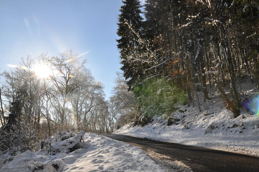 Eifel Landhaus Seeblick Hotel Biersdorf Buitenkant foto