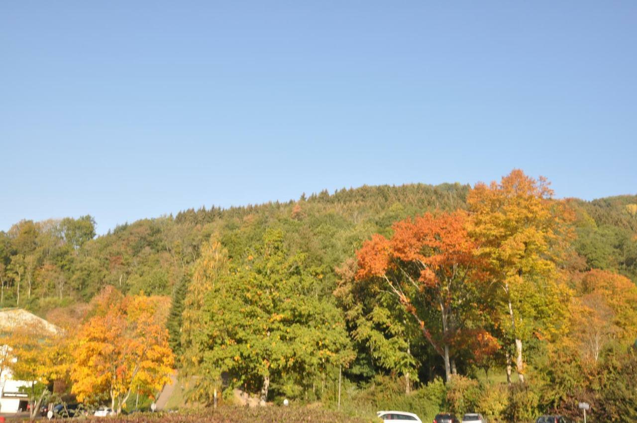 Eifel Landhaus Seeblick Hotel Biersdorf Buitenkant foto